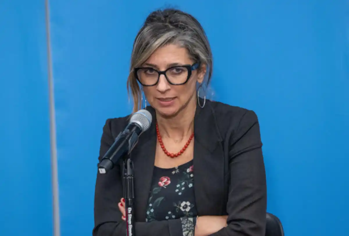 francesca albanese gruppo esperti onu embargo armi