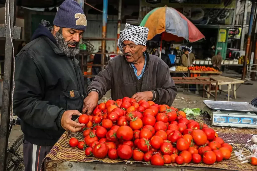 mercato verdura niente carestia a gaza