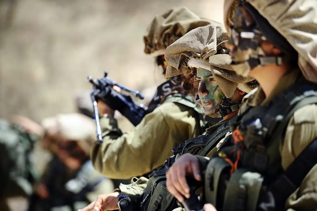 idf esercito israeliano in georgia e in Azerbaigian