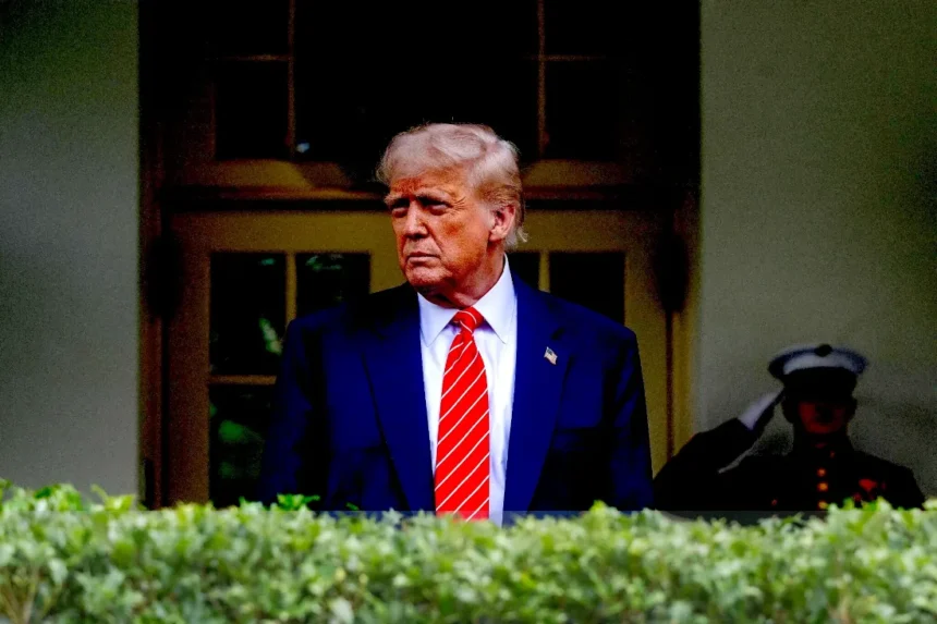 affari famiglia Trump