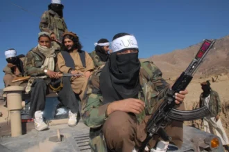 Tehreek-i-Taliban Pakistan (TTP) Stato Islamico