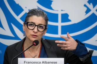 francesca albanese